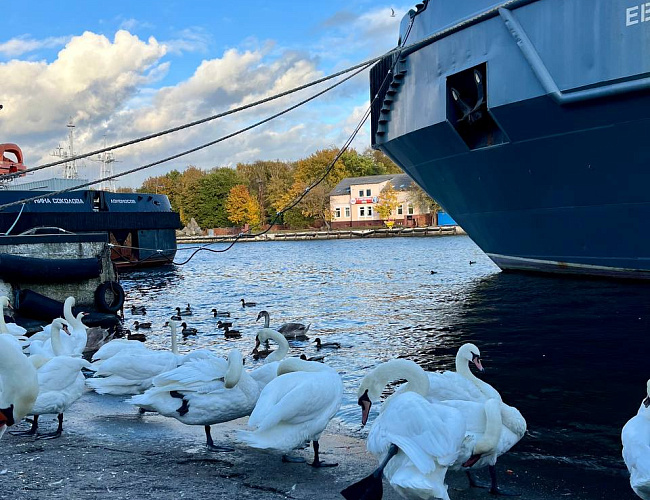 Янтарное кольцо: Балтийск, Янтарный, Светлогорск 