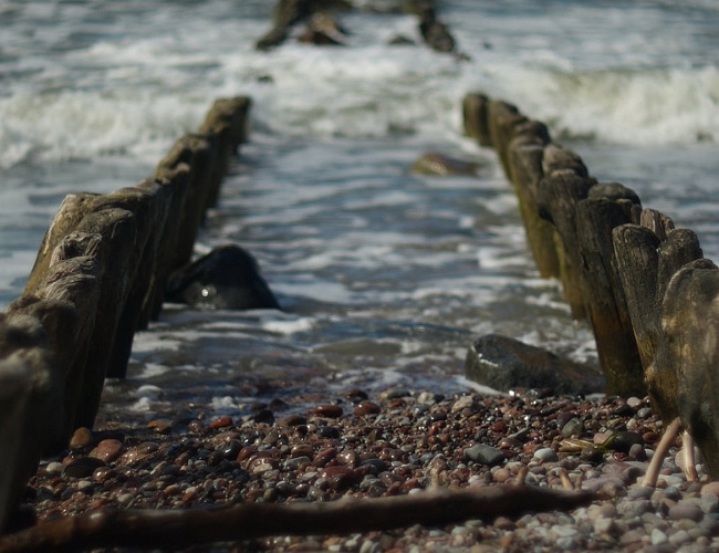 «Polyana» glamping