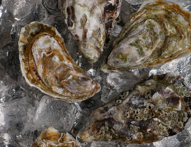 Moreca Seafood & Wine rest