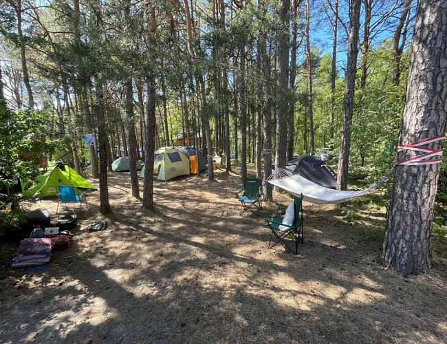 "Kurshale" glamping