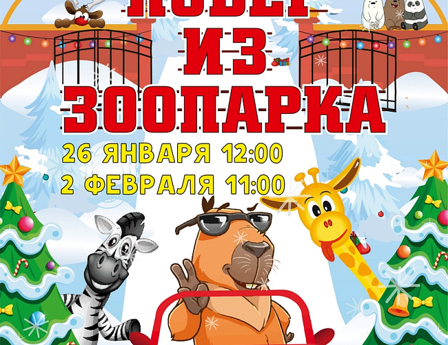 Побег из зоопарка