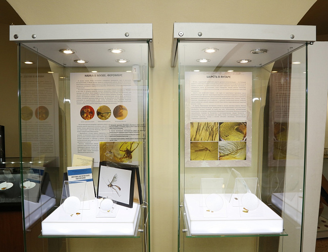 Выставка инклюзов «Наука в музее» и «Шерсть в янтаре»