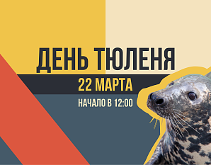 День тюленя в Калининградском зоопарке 
