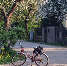 Чем заняться в&nbsp;Калининграде