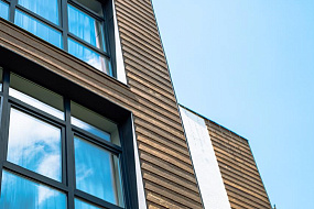 Whale apart / Вэйл Апарт