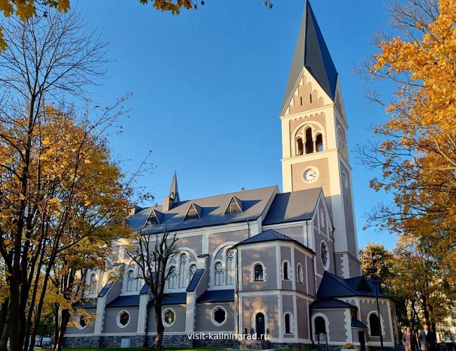 Обзорная по Калининграду с прогулкой на катере и Музей Марципана