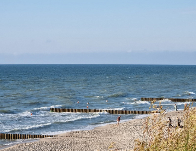 Куршская коса и прогулка по Зеленоградску