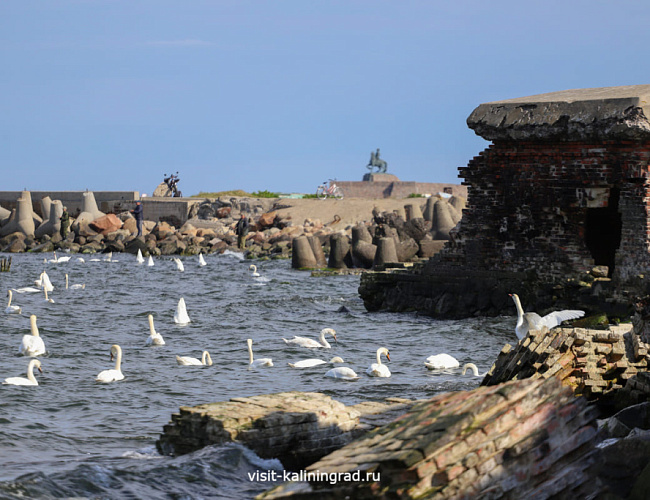 Форт «Западный»