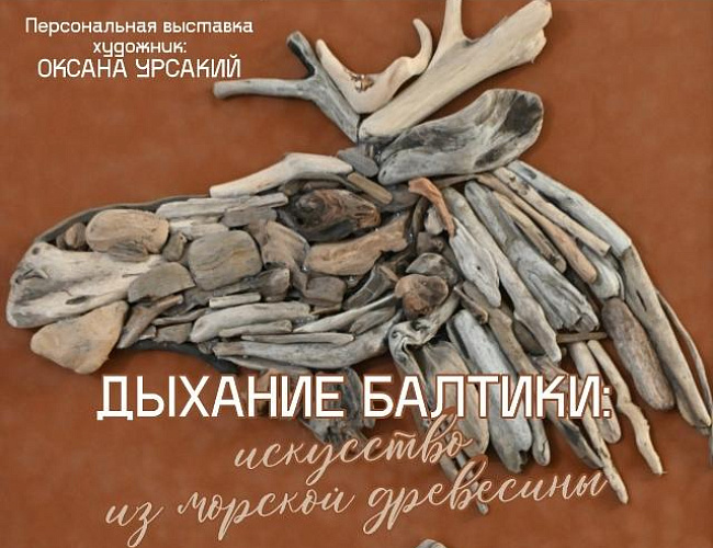 Дыхание Балтики: искусство из морской древесины