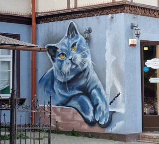 Балтийский вояж (Светлогорск, Зеленоградск)