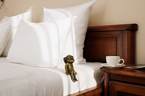 Отель «Kaiserhof» / «Кайзерхоф»