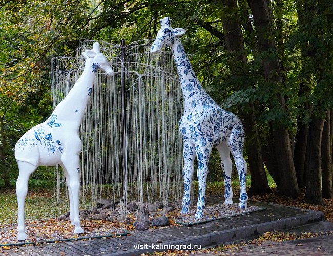 Парк Беккера