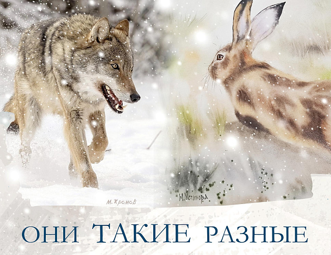 Они такие разные