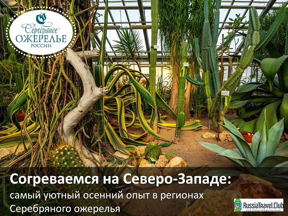 Согреваемся на Северо-Западе: самый уютный осенний опыт в регионах Серебряного ожерелья Согреваемся на Северо-Западе: самый уютный осенний опыт в регионах Серебряного ожерелья