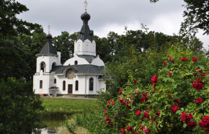 Картинка