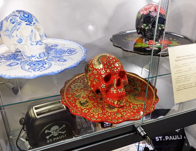 Музей черепов и скелетов