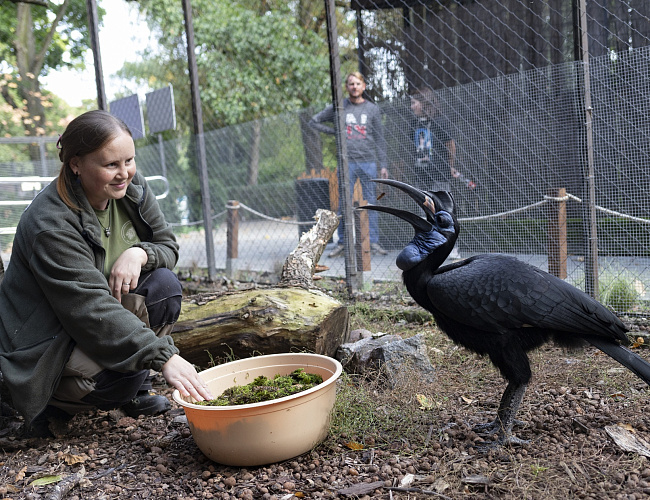 Я работаю в зоопарке!. Экскурсия из цикла «Другой зоопарк»