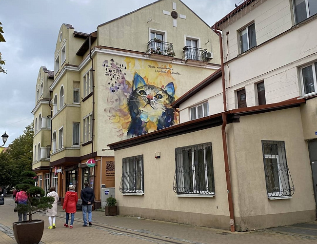 Куршская коса и Зеленоградск