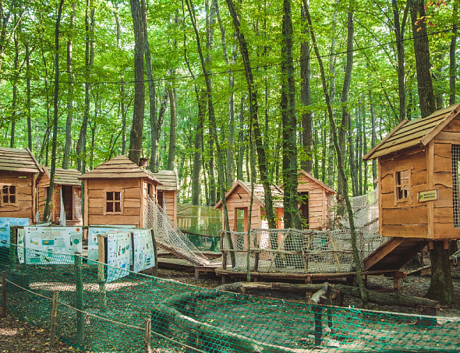 Парк Янтарного периода