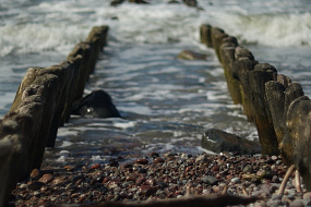 «Polyana» glamping