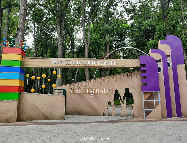 Парк сенситивного развития