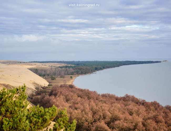 Национальный парк «Куршская коса»