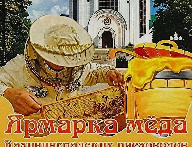 Ярмарка мёда