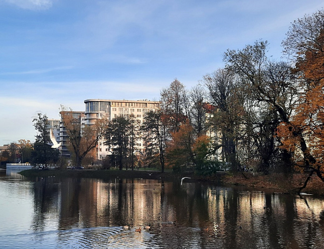 Парк «Южный» (40-летия ВЛКСМ)