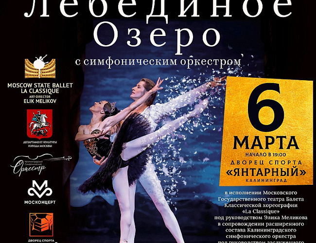 Лебединое озеро. Московский Государственный театр La Classique