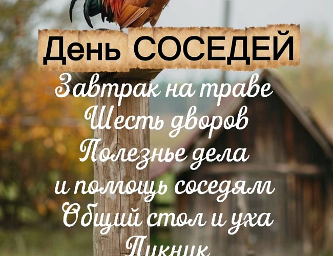 День соседей. Деревнские посиделки-7
