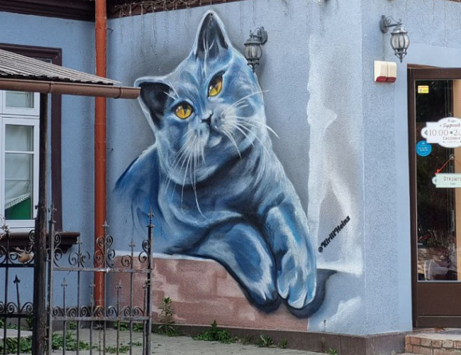 Балтийский вояж (Светлогорск, Зеленоградск)