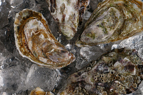 Moreca Seafood & Wine rest