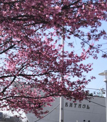 Самые интересные события апреля