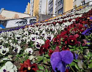 Библионочь-2026 в «Чеховке»