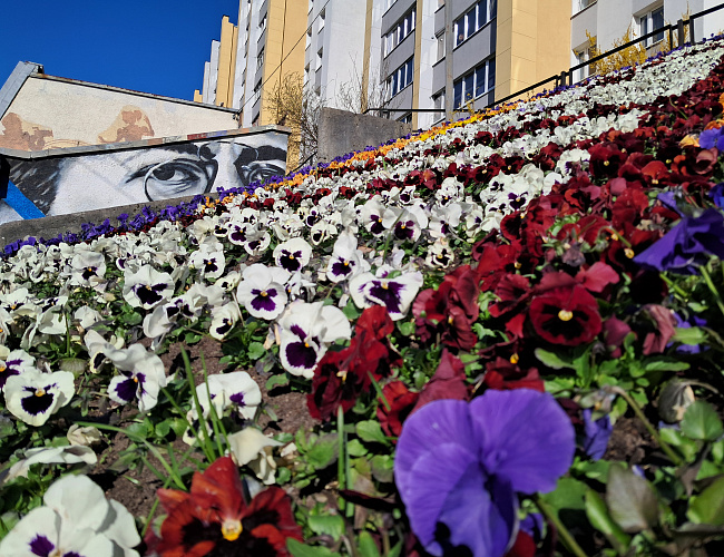 Библионочь-2026 в «Чеховке»