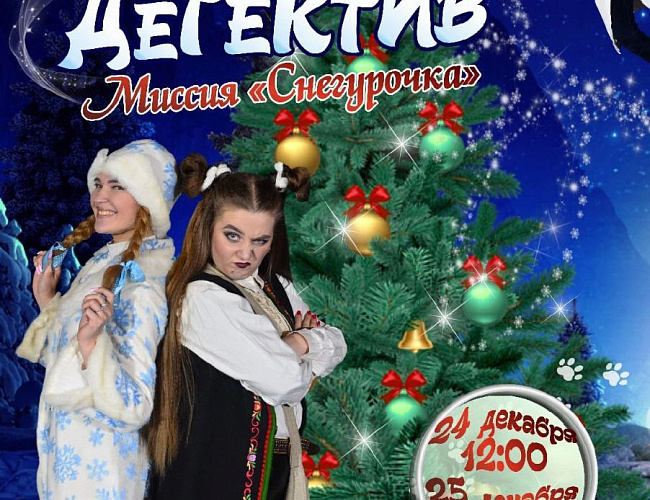 Новогодний детектив: Миссия «Снегурочка»