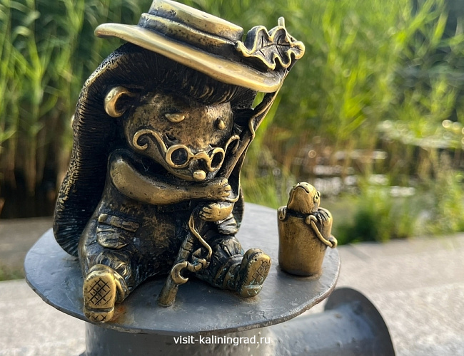 Светлоёжики в Светлогорске