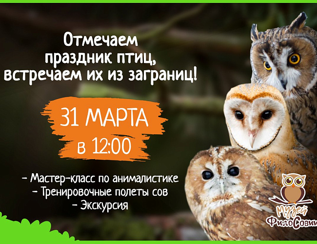 Отмечаем праздник птиц, встречаем их из заграниц