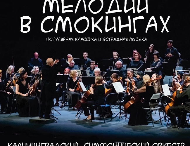 Концерт симфонической музыки в ТЮЗ "Молодежный"