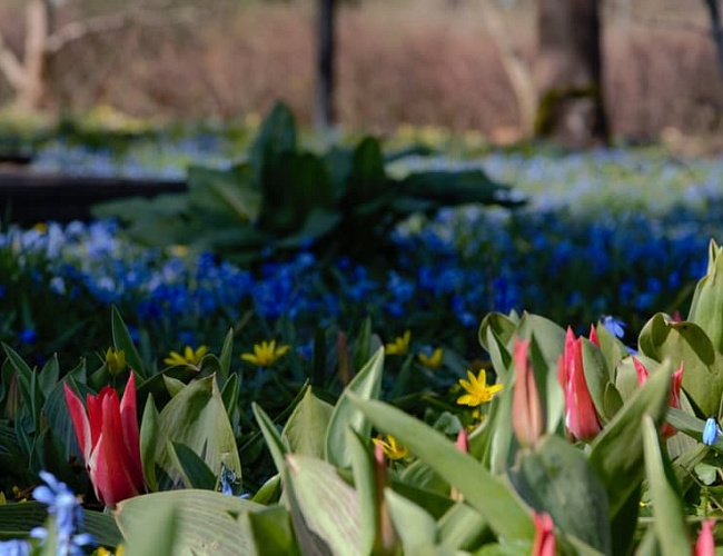 Botanical Garden