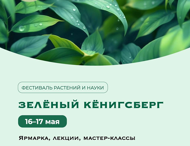 Фестиваль «Зелёный Кёнигсберг»