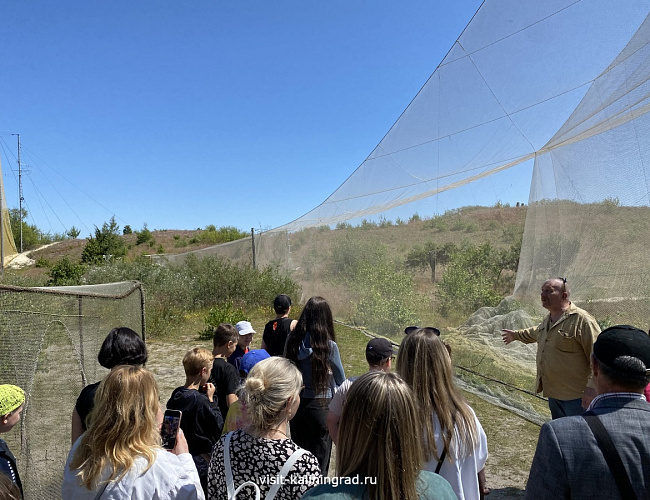 Орнитологическая станция «Фрингилла»