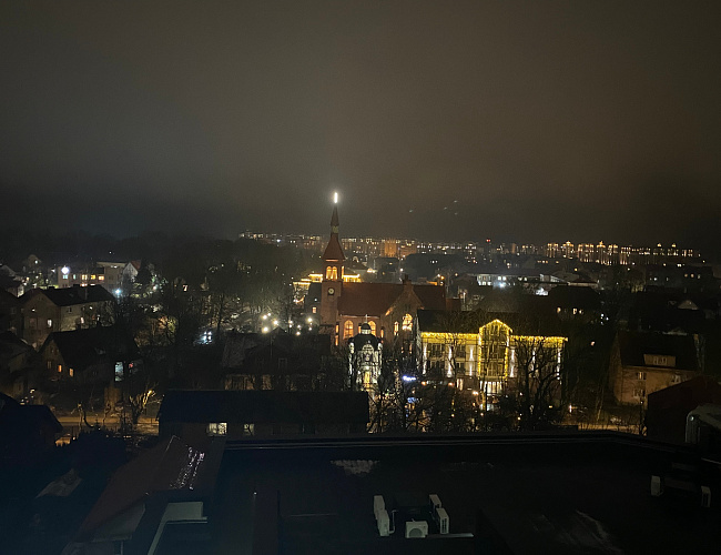 Четыре портрета королевы Луизы