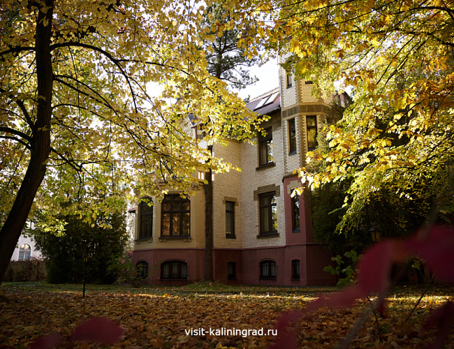 Вилла на ул. Огарева,33