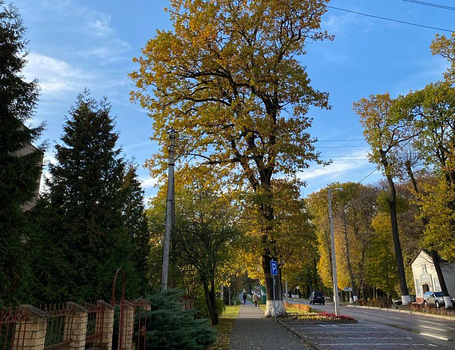 От Нойхаузена до Мюнхгаузена