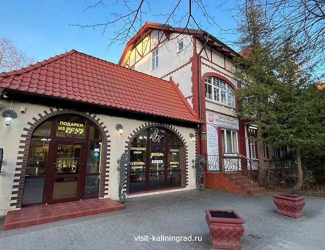 Светлогорский военный санаторий / Вилла Хильдегард