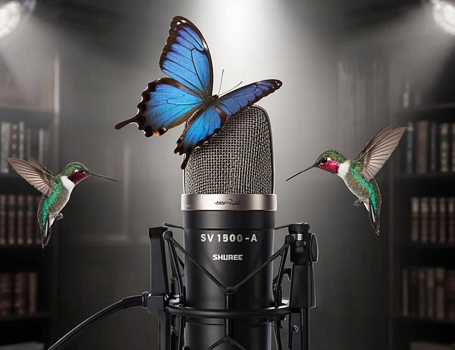 Горький-Фест на Лермонтова