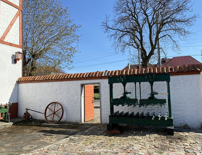 Музея садоводства и яблока