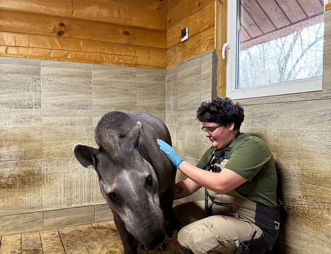 Я работаю в зоопарке!. Экскурсия из цикла «Другой зоопарк»