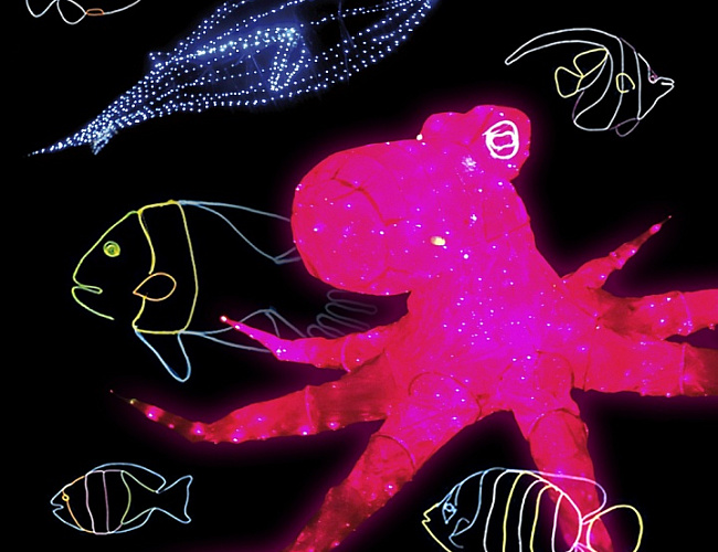 Представление световых кукол с гигантским Осьминогом